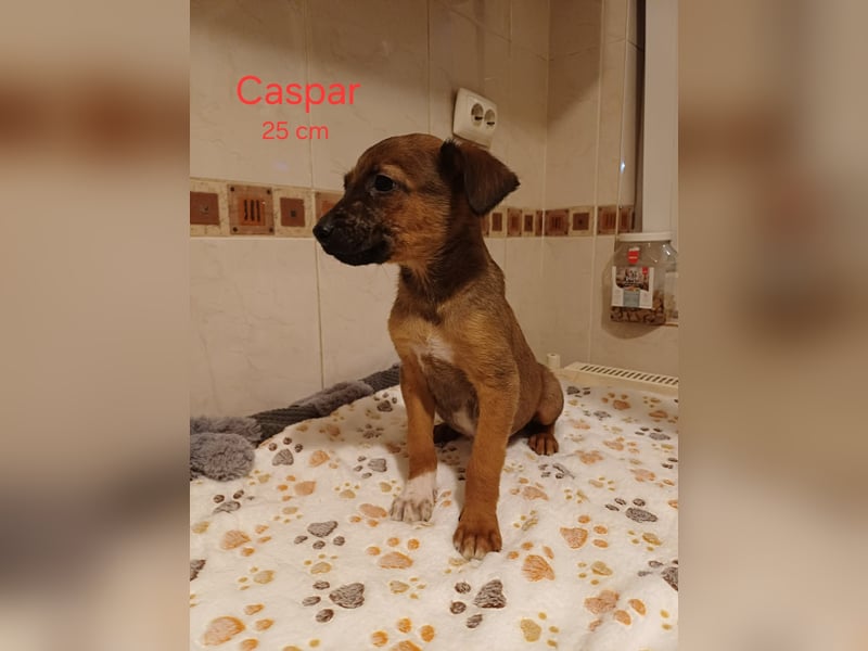 Caspar von kettenlos