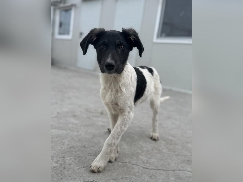 Püppi von kettenlos