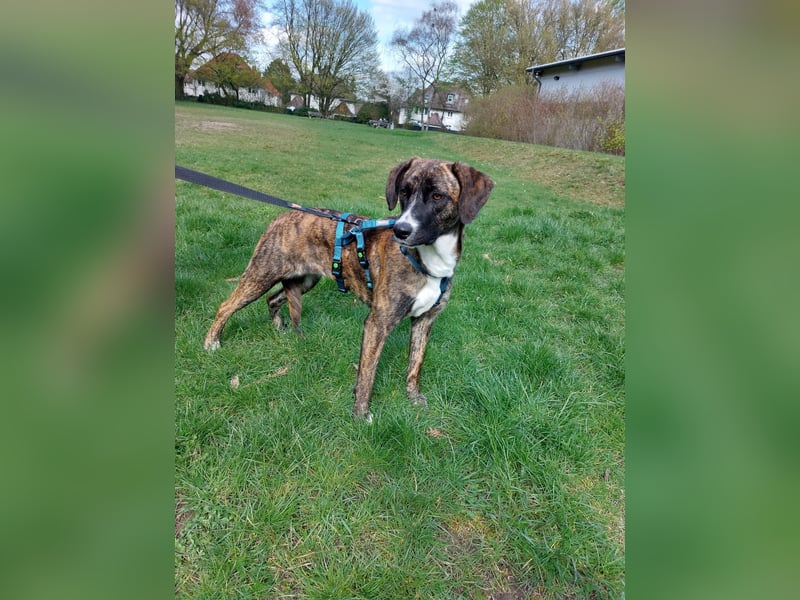 Liebe, sportliche Malin sucht Ihre Menschen