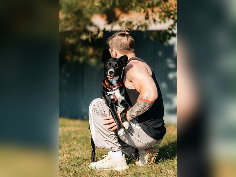 Sanfte Lucy sucht ihr ruhiges Zuhause