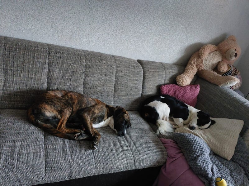 Liebe, sportliche Malin sucht Ihre Menschen