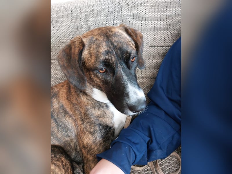 Liebe, sportliche Malin sucht Ihre Menschen