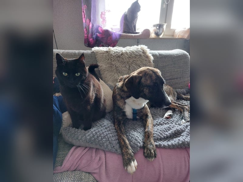 Liebe, sportliche Malin sucht Ihre Menschen