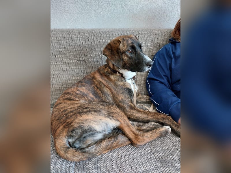 Liebe, sportliche Malin sucht Ihre Menschen