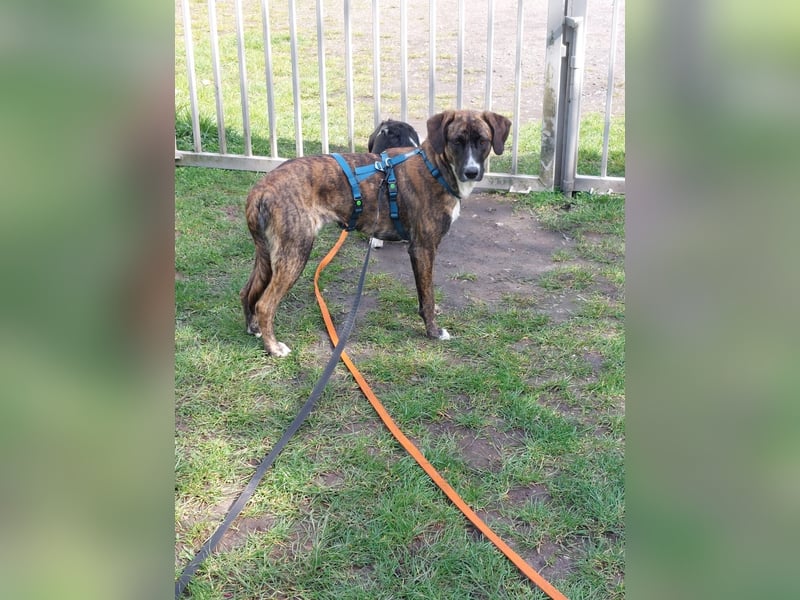 Liebe, sportliche Malin sucht Ihre Menschen