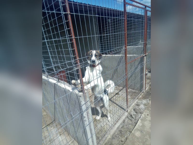 Mati, freundlich und menschenbezogen