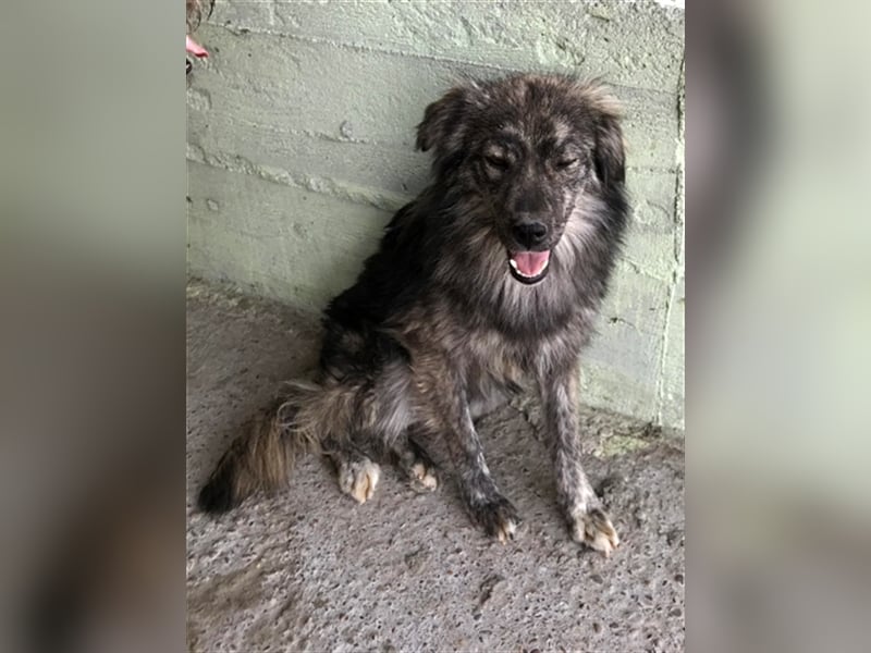 Malea, ängstlich, braucht Zeit