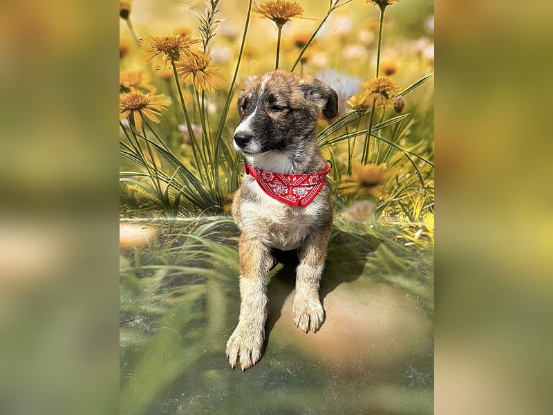 Hazel, möchte die Welt entdecken