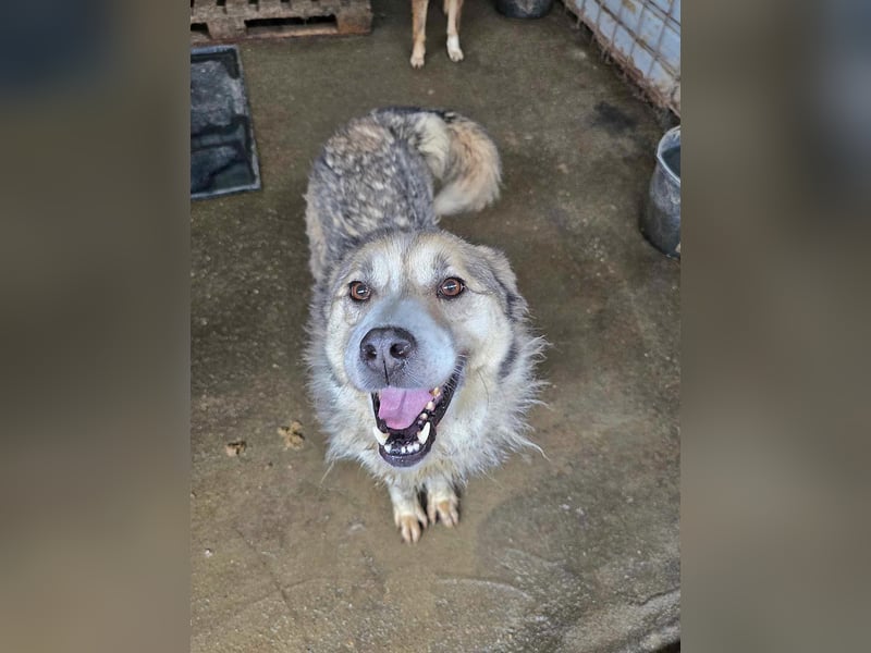 Charly (2), freundlich und neugierig