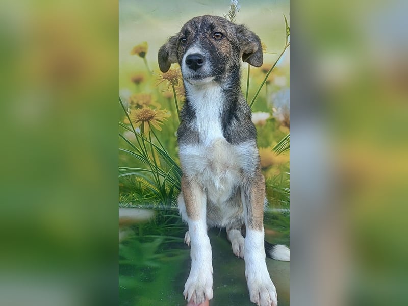 Hazel, möchte die Welt entdecken