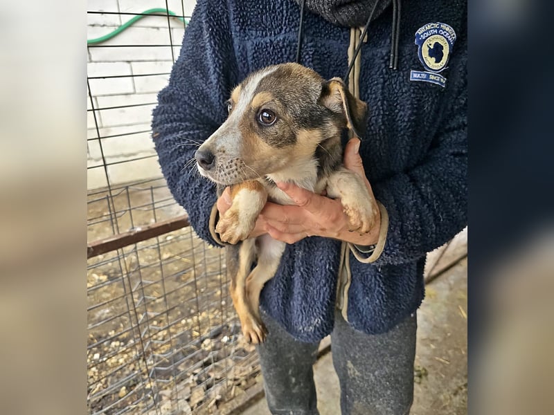 Wendy sucht ihr Glück