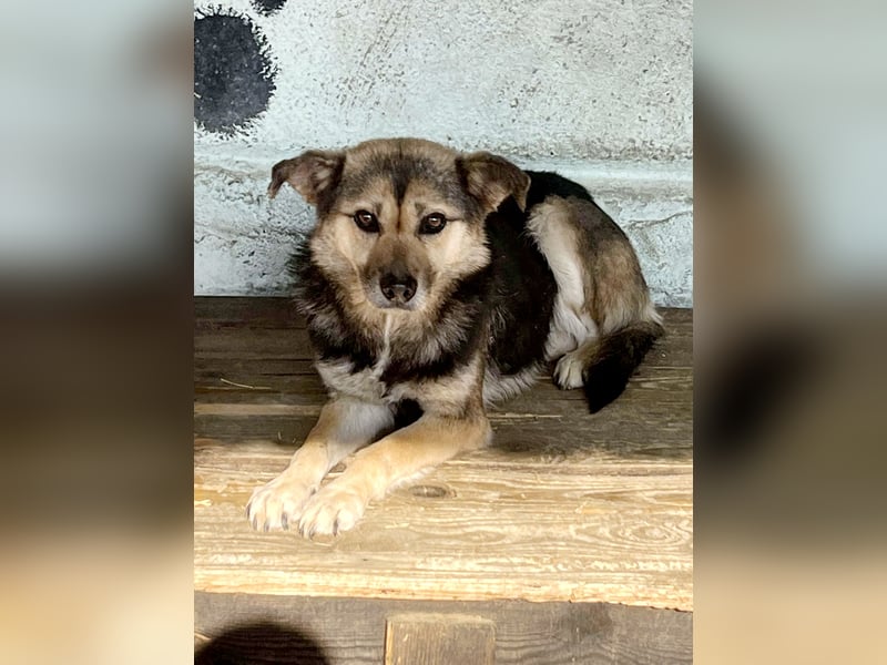 Julie, sehr ängstlich