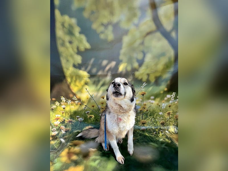 Charly (2), freundlich und neugierig