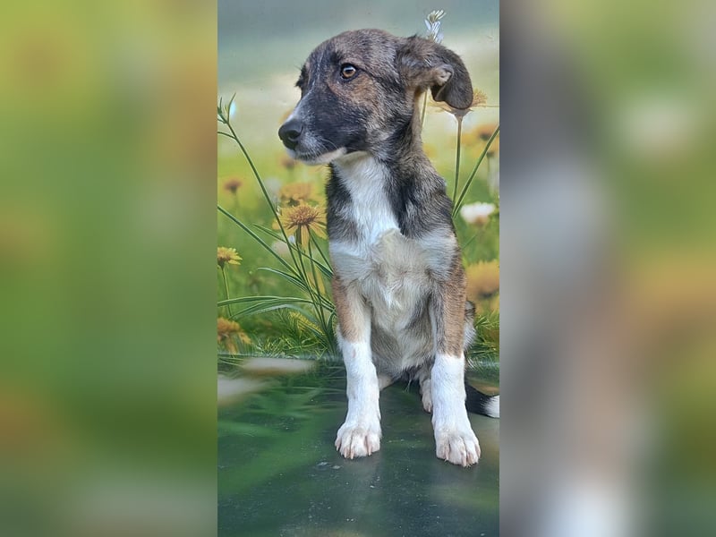Hazel, möchte die Welt entdecken