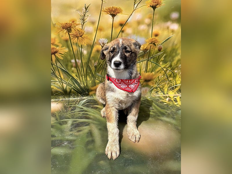 Hazel, möchte die Welt entdecken
