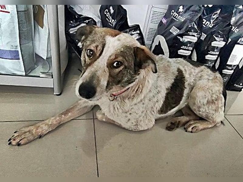 Mati, freundlich und menschenbezogen