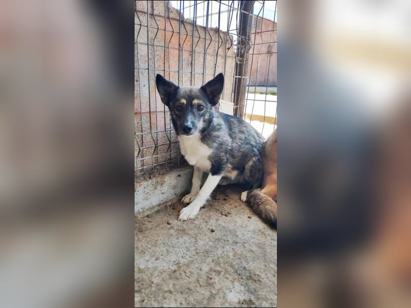 Julie, sehr ängstlich