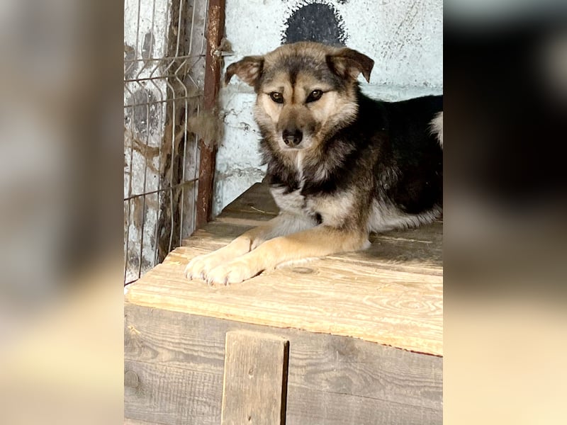 Julie, sehr ängstlich