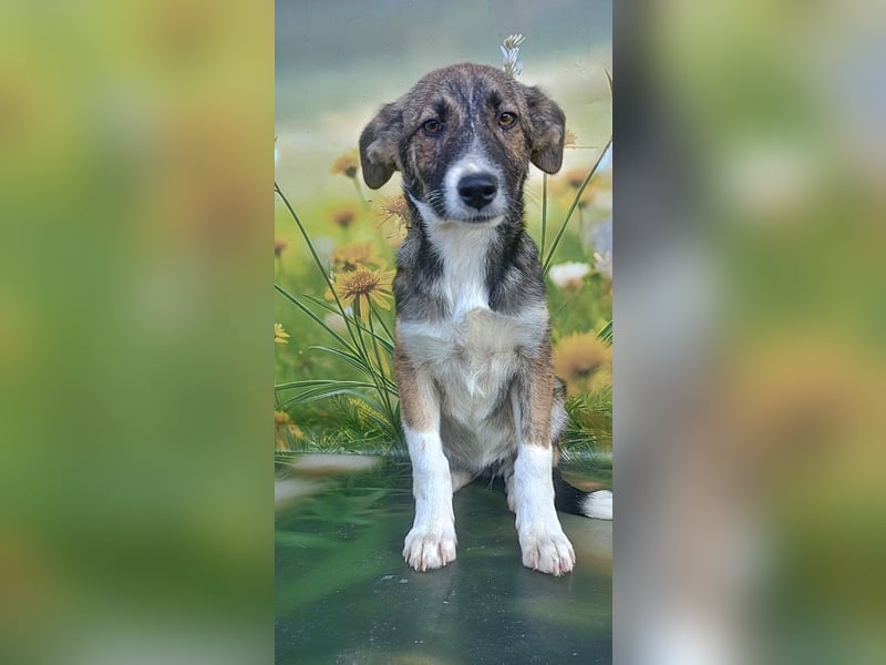 Hazel, möchte die Welt entdecken