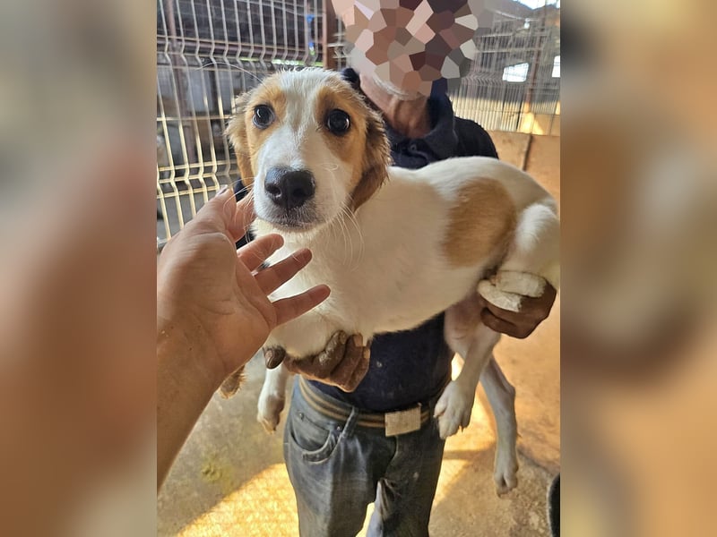 Eddy, etwas unsicher aber neugierig