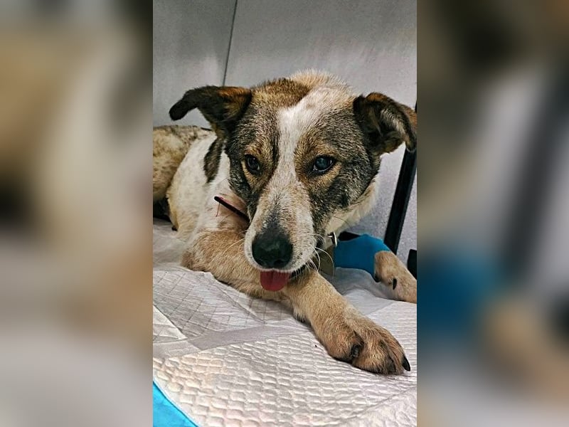 Mati, freundlich und menschenbezogen