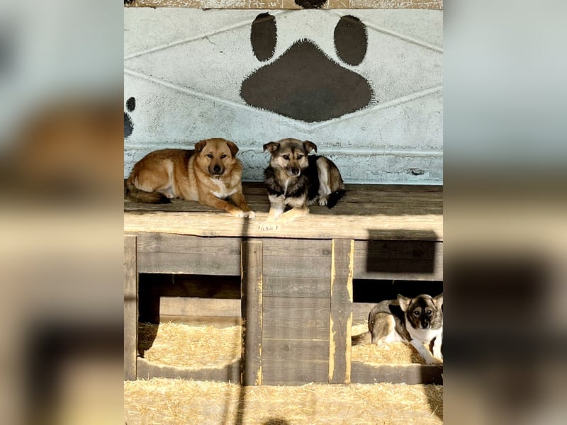 Julie, sehr ängstlich