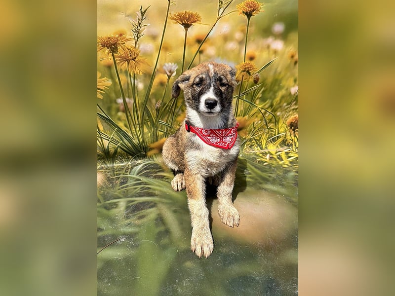 Hazel, möchte die Welt entdecken