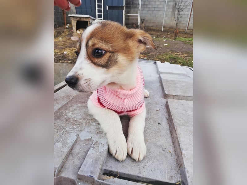 Sandy * reserviert *