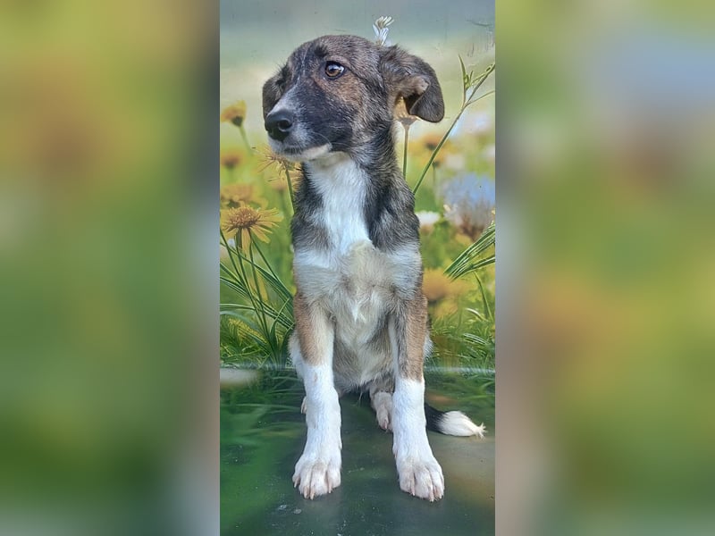 Hazel, möchte die Welt entdecken