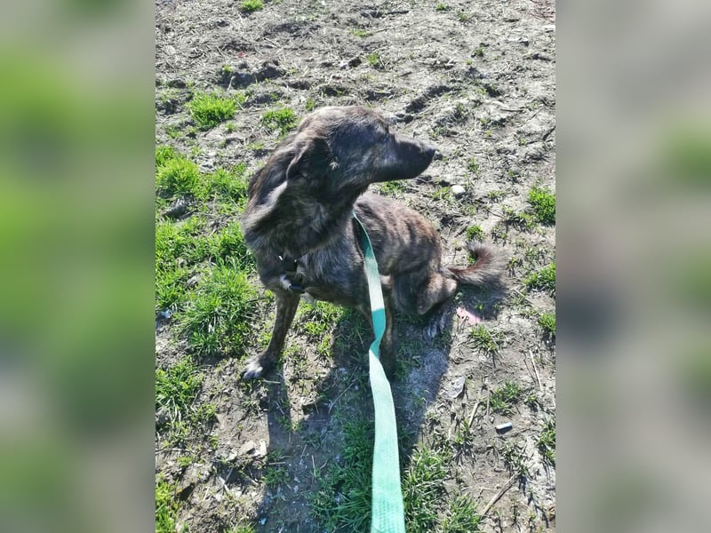 Minnie, sehr freundlich und lieb