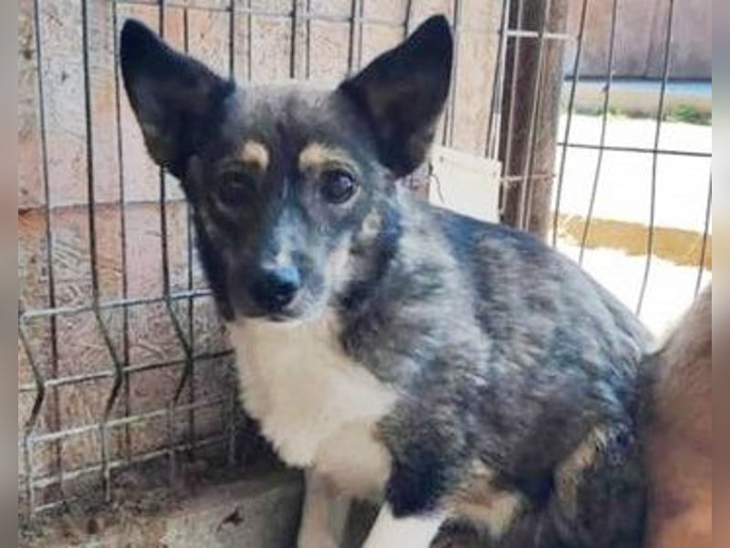 Julie, sehr ängstlich