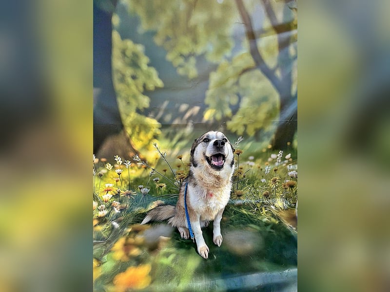 Charly (2), freundlich und neugierig