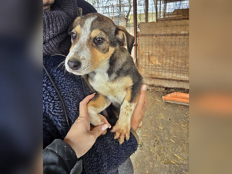 Wendy sucht ihr Glück