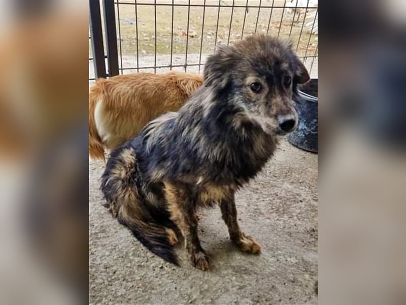 Malea, ängstlich, braucht Zeit