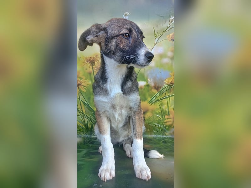 Hazel, möchte die Welt entdecken