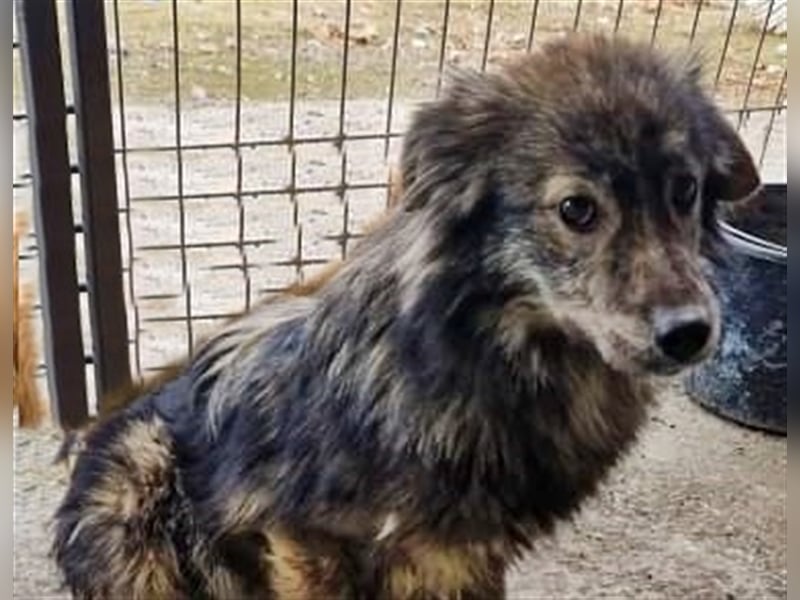 Malea, ängstlich, braucht Zeit