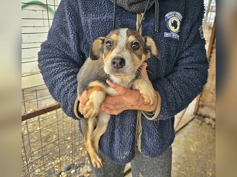 Wendy sucht ihr Glück