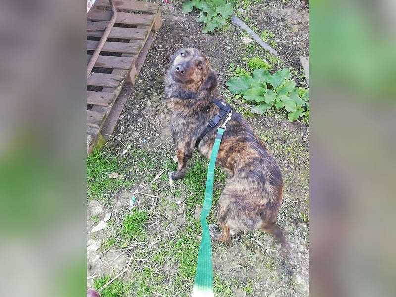 Minnie, sehr freundlich und lieb