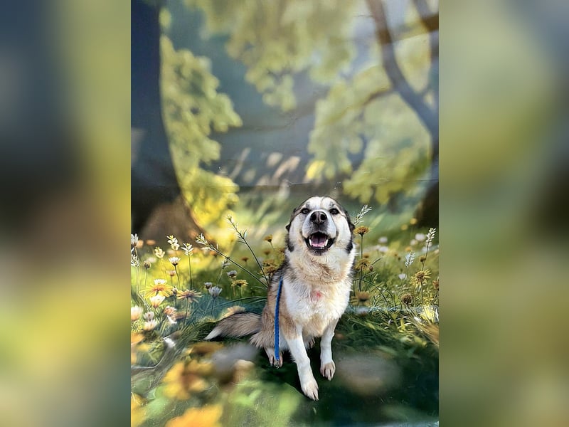 Charly (2), freundlich und neugierig