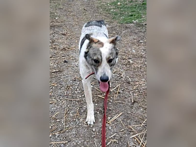 Mati, freundlich und menschenbezogen