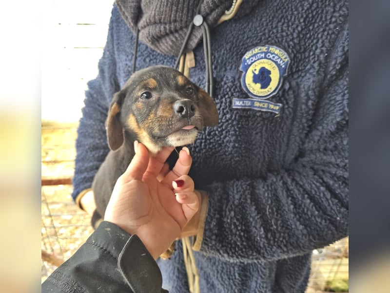Lotti, kleines Mädchen sucht großes Glück