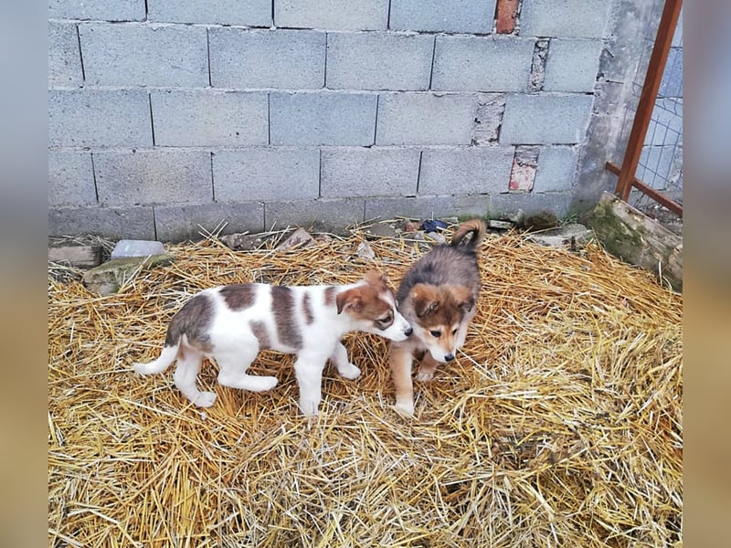 Sandy * reserviert *