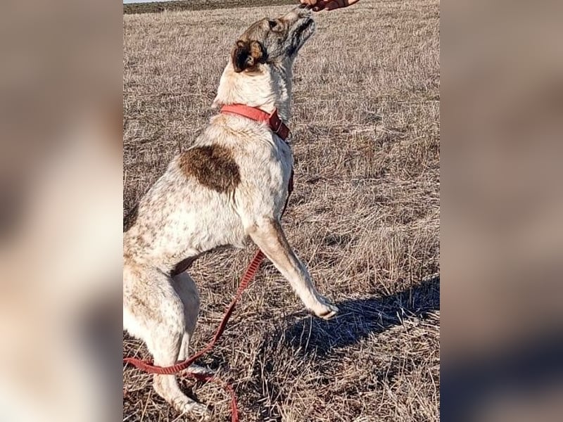 Mati, freundlich und menschenbezogen