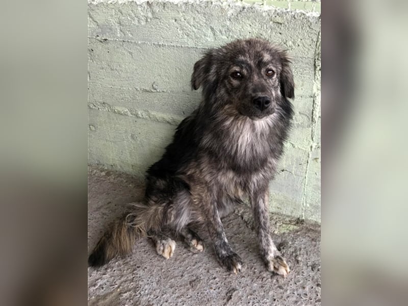 Malea, ängstlich, braucht Zeit