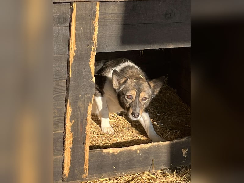 Julie, sehr ängstlich