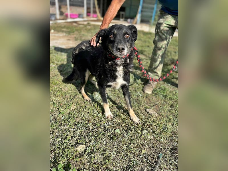 Chicco, muss Vertrauen aufbauen