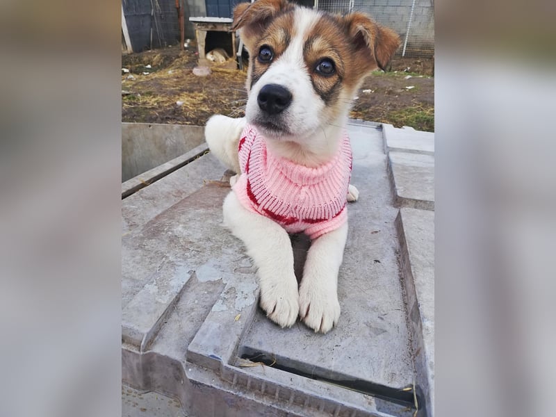 Sandy * reserviert *