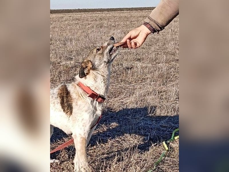 Mati, freundlich und menschenbezogen
