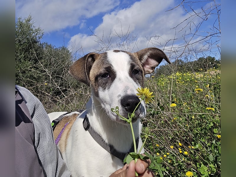 Nicolina: vom Parkplatz ins schöne Leben