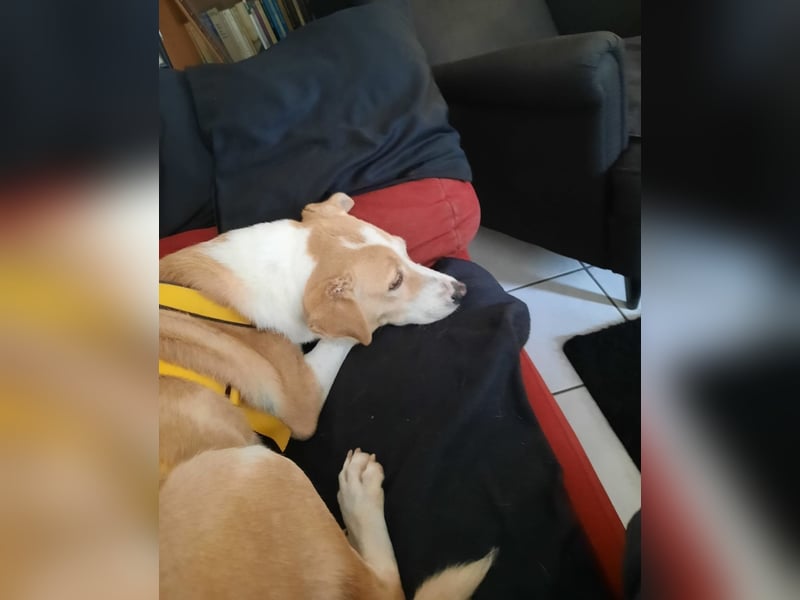 Lucy: ein Schatz für Jedermann